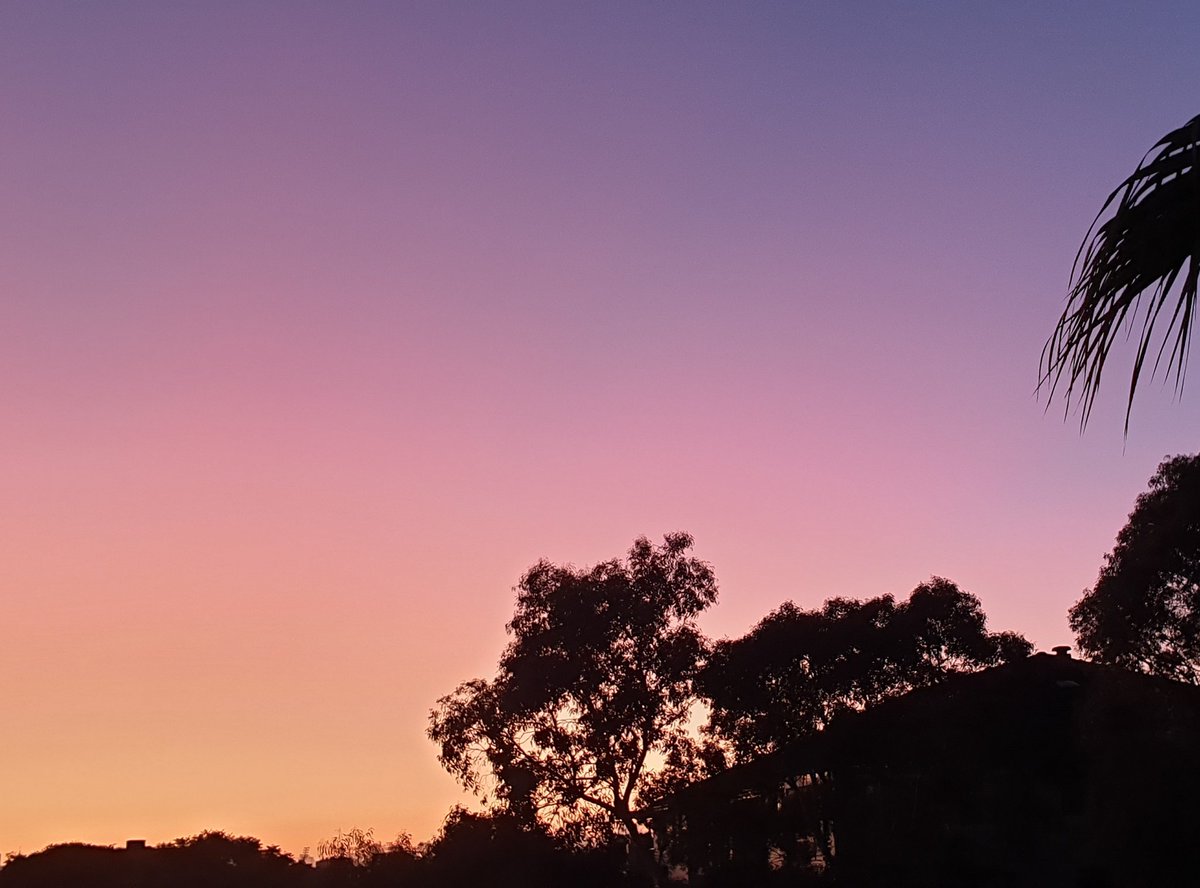 CherScheff's tweet photo. Saturday
Good morning ๐ฆ๐บ
#HappySafeWeekend
#Sydneyskies https://t.co/GjMaFF7Jnq