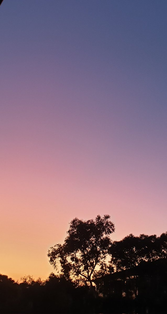 CherScheff's tweet photo. Saturday
Good morning ๐ฆ๐บ
#HappySafeWeekend
#Sydneyskies https://t.co/GjMaFF7Jnq