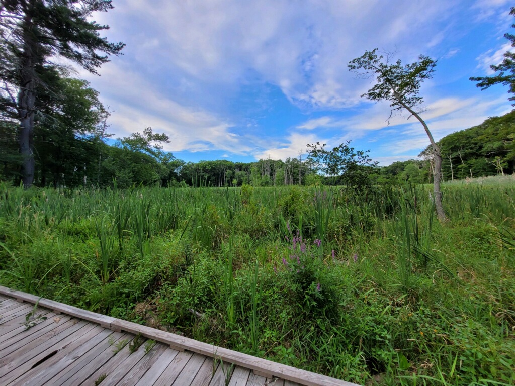 MassParksForAll's tweet photo. Help us restore funding for @MassDCR. Remember, the park you save may be your own: https://t.co/zDEe55XLww. #MAstateparks #mapoli https://t.co/zpIhwNGkgL