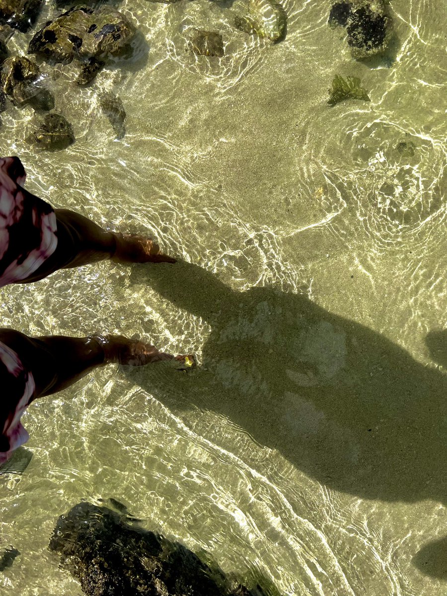 This Sunday &amp; Monday are your first chance to vote on <a href="/AmericanIdol/">American Idol</a> this season! If you want to see me continue and make it to the Top 20, tune in to <a href="/ABCNetwork/">ABC</a> at 8/7c this Sunday and catch my performance at <a href="/DisneyAulani/">DisneyAulani</a> in Hawaii! #AmericanIdol #Top26