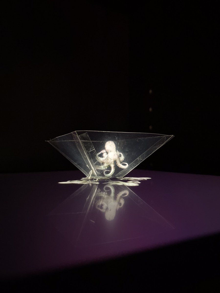 One of the many awesome projects being created at the GIS Center are holograms!