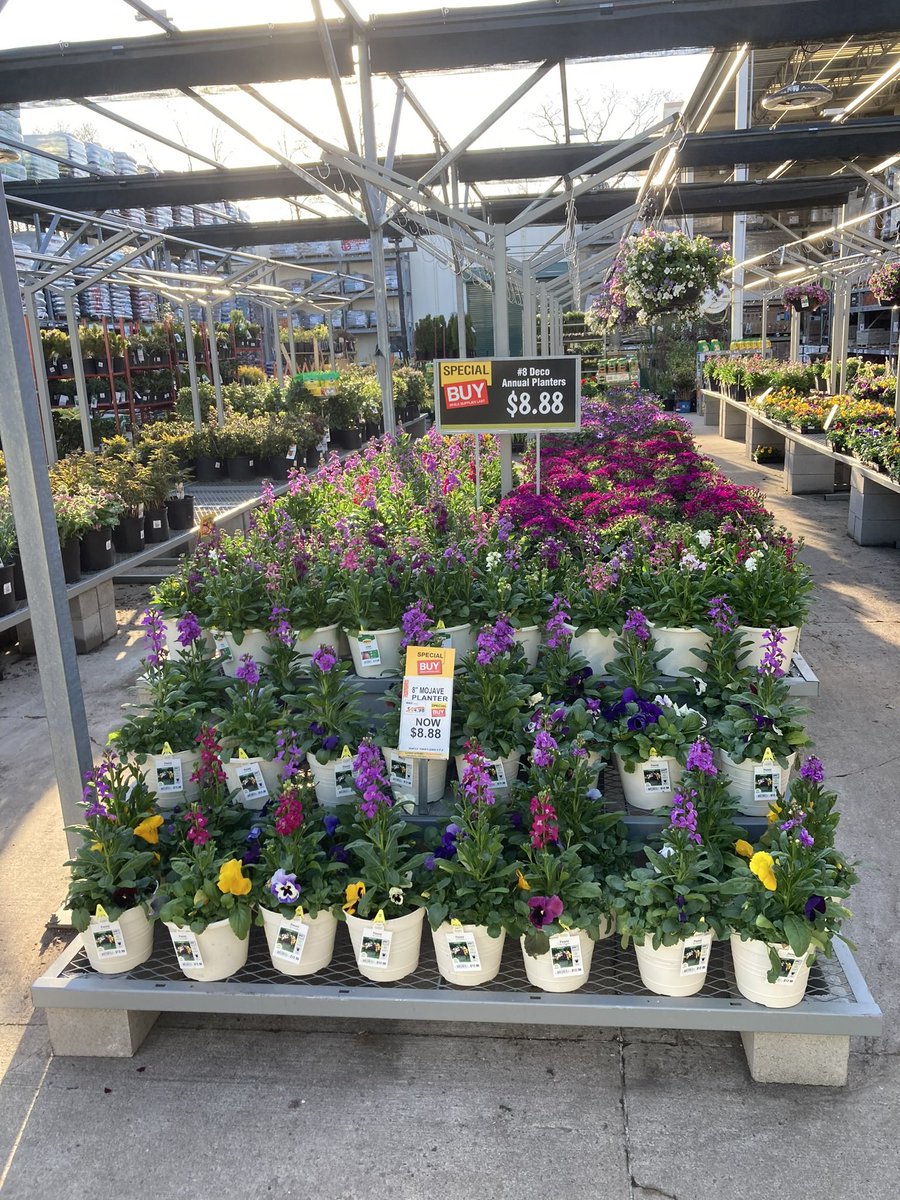 renee wood (@rwoodsgh) on Twitter photo The Home Depot & Team Wood’s Greenhouses is bulking up the savings! Check out Spring Black Friday Offerings! <a href="/ChristineTHD/">Christine Sweeney</a> <a href="/nyyroro/">Ro Rodriguez</a> <a href="/JennNJM/">Jenn Hardy</a> <a href="/MatthewWoodsgh/">Matthew</a> #TeamWGH The Home Depot & Team Wood’s Greenhouses is bulking up the savings! Check out Spring Black Friday Offerings! <a href="/ChristineTHD/">Christine Sweeney</a> <a href="/nyyroro/">Ro Rodriguez</a> <a href="/JennNJM/">Jenn Hardy</a> <a href="/MatthewWoodsgh/">Matthew</a> #TeamWGH