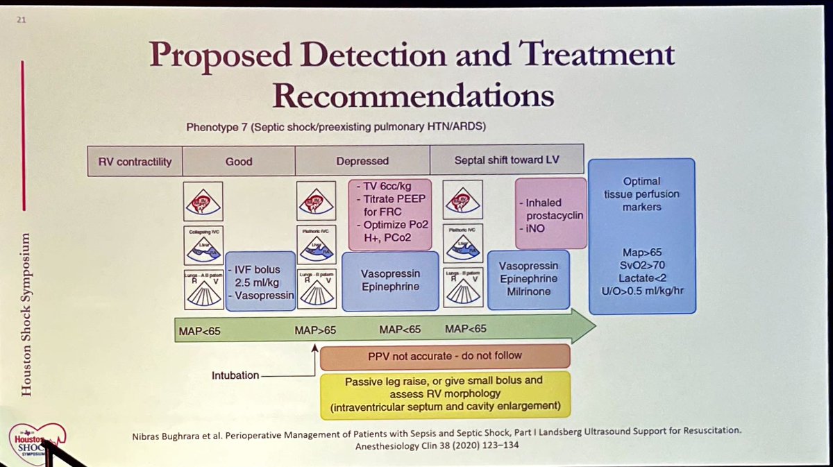 Dr. Estep helping us navigate between a rock and a hard place: RV dysfunction in septic shock. Use echo early to guide therapy!  #HSS23 <a href="/HoustonShockHSS/">Houston Shock Symposium</a> <a href="/CardioNerds/">CardioNerds</a> <a href="/AmitGoyalMD/">Amit Goyal MD MAS</a> <a href="/AHajduczok/">Alexander Hajduczok, MD 🇺🇦🙏</a> <a href="/ThomasMDas/">Tommy Das, MD</a> <a href="/jeffrey_wang24/">Jeffrey Wang</a> <a href="/KatieV_MD/">Katie V</a>