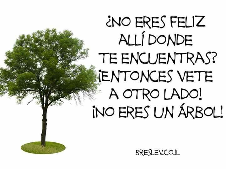 Poesías y frases (@poesasyfrases21) on Twitter photo 
