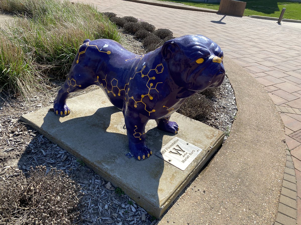 Amanda Meiners tweet media