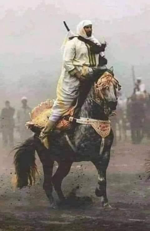 #من عادات العرب في الجاهلية..
أنهم إذا تكاثرت خيولهم..
وإختلط عليهم أمرها .. 
وأصبحوا لايفرقون بين أصيلها وهجينها ..
فكانوا يجمعونها كلها في مكان واحد ويمنعون
عنها الأكل والشرب ويوسعونها ضربا..!!.

وبعد ذلك يأتون لها بالأكل والشرب .. 
فتنقسم تلك الخيول إلى مجموعتين..
مجموعة تهرول