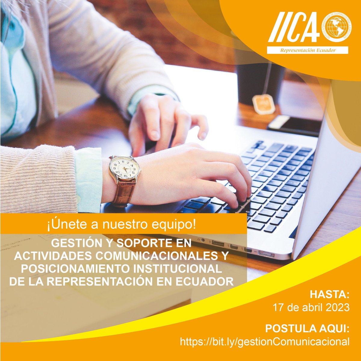 #COMUNICACIÓN #OportunidadLaboral ¡Te estamos buscando!  Aplica aquí para la gestión y soporte en actividades de comunicación de la Representación del <a href="/IICA/">IICA</a> en #Ecuador. La fecha máxima para la postulación es ESTE LUNES 17 de abril de 2023. Aplica aquí📷bit.ly/gestionComunic…
