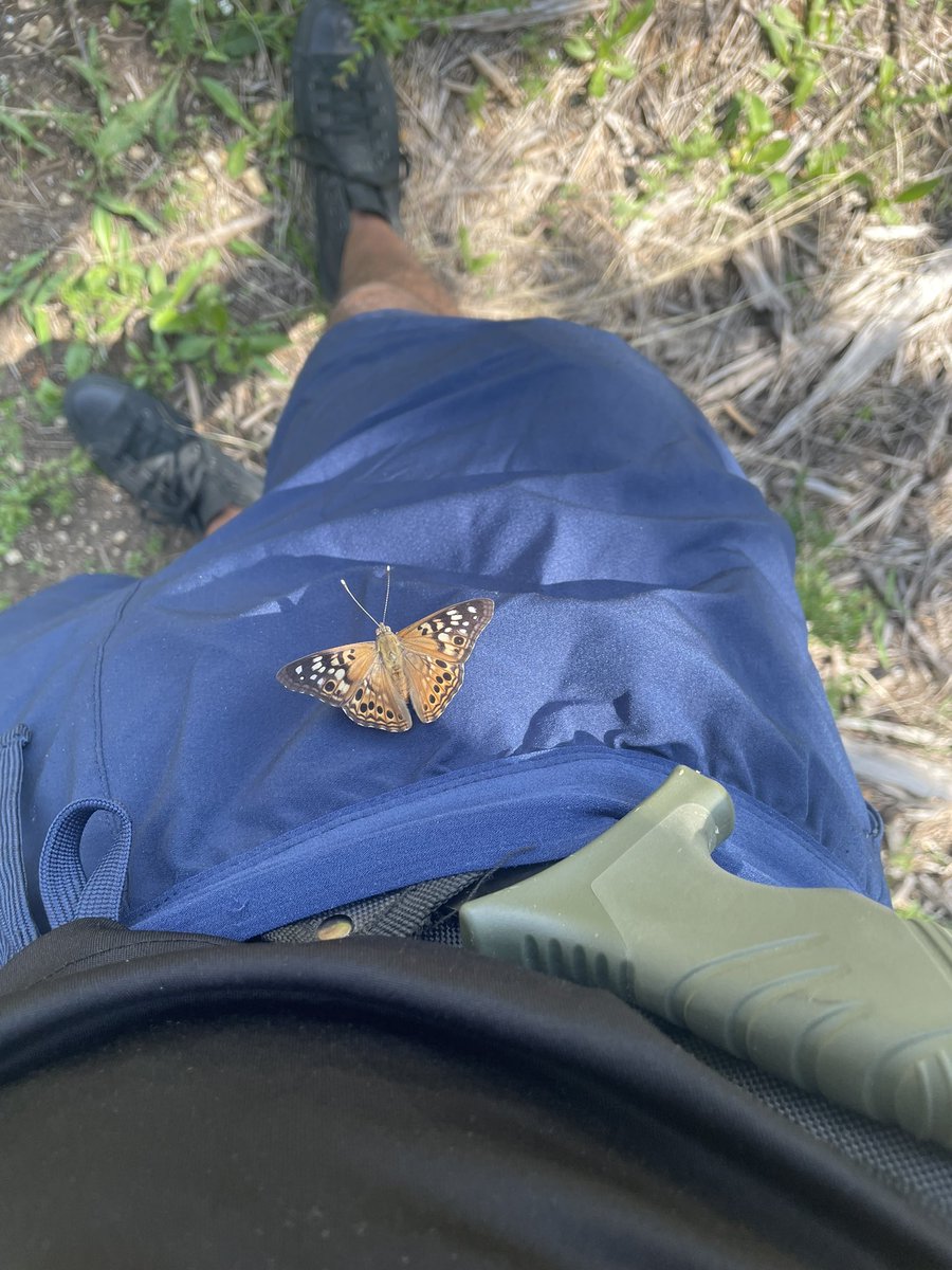 JayQue318's tweet image. I Been Vibing…Smoking…Grindin…