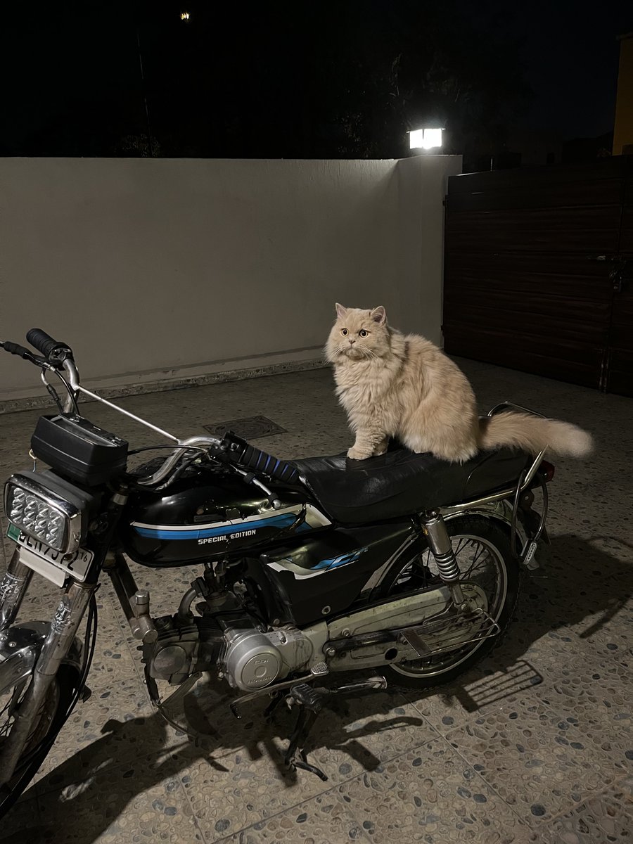 theEldestB0y's tweet photo. Sheefu better biker than most guys in lahore https://t.co/JOPCsNEBMc