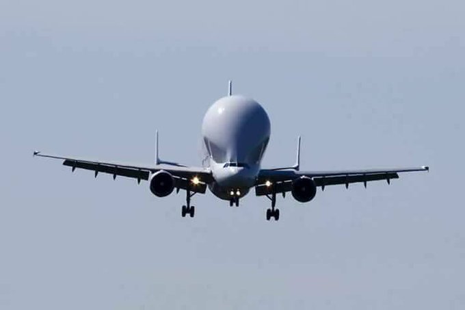 TheBlue77126646's tweet photo. Kompany and his team arriving next season https://t.co/vWzhGJKcTs