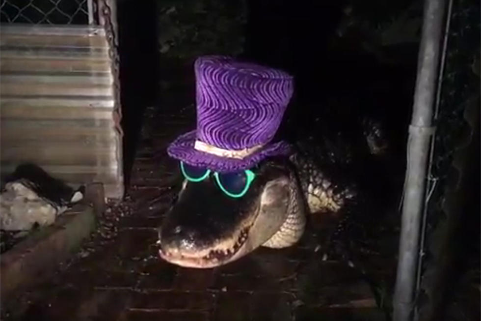 GatorsDaily's tweet photo. FRIDAY VIBES https://t.co/LoYIJzuvLe