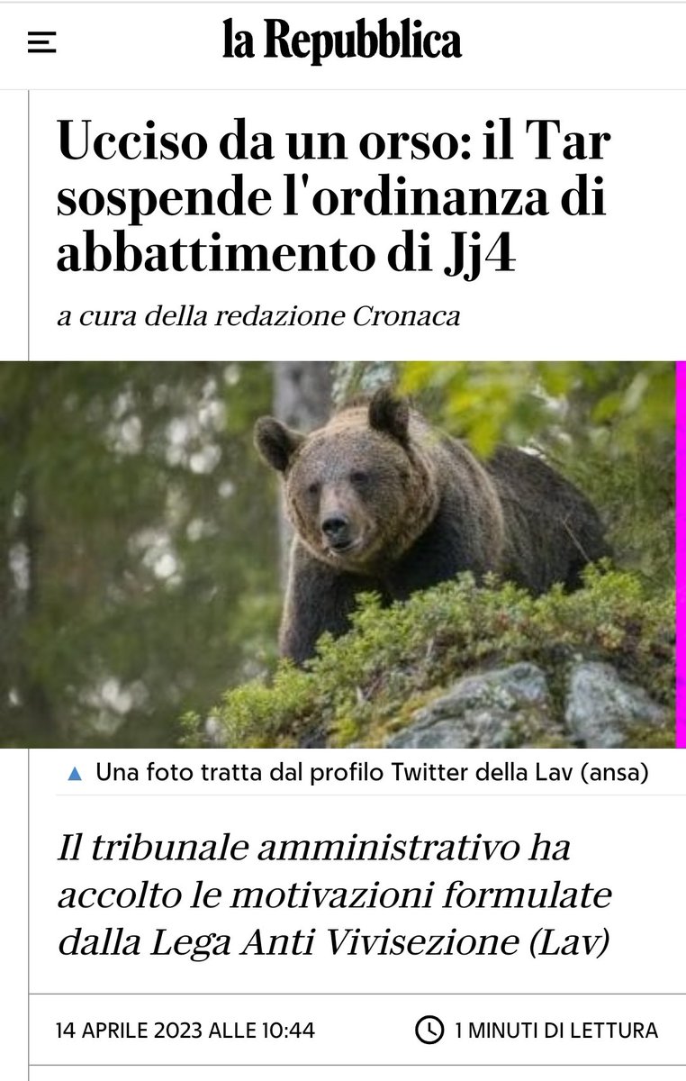SIAMO UN PAESE DI MERDA

#Tar e #Lav da denunzia, oltre che Abolire seduta stante

Un Paese che lascia libero un #orso che uccide, e uccide ancora, è Paese demmerda che deve fallire. 

AMMAZZARE ogni cazzo di animale in esubero o che uccide,
E Sfamare i senzatetto. 

VERGOGNA.