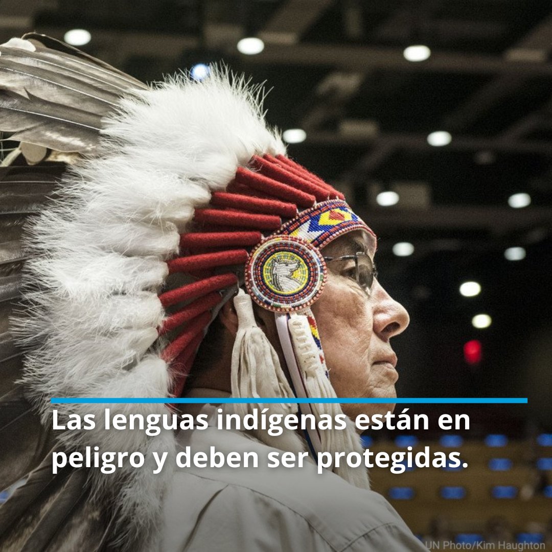 Muchas lenguas indígenas de todo el mundo están a punto de extinguirse.

El Decenio Internacional de las Lenguas Indígenas es un llamamiento a la acción urgente para conservarlas, revitalizarlas y promoverlas. Vía <a href="/UNESCO_es/">UNESCO en español 🏛️#Educación #Ciencia #Cultura</a> es.idil2022-2032.org