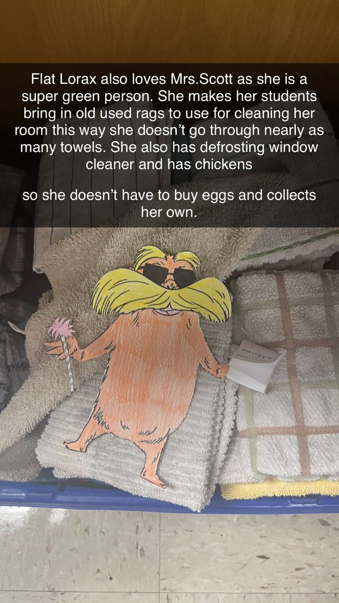 swright349's tweet photo. Flat Lorax #ScottBio #FLATLORAX #EarthDay2023 @BioTeachKS https://t.co/TWhVjrp2rJ