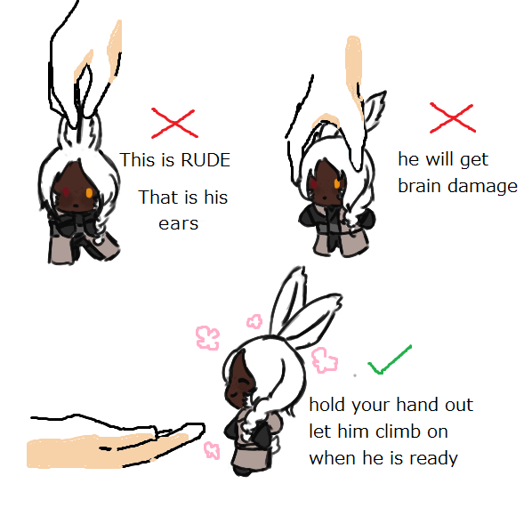 mintysweetsXIV's tweet photo. crying, look at what @startearffxiv made of Almond 🥹 https://t.co/EHXPOKbj8g
