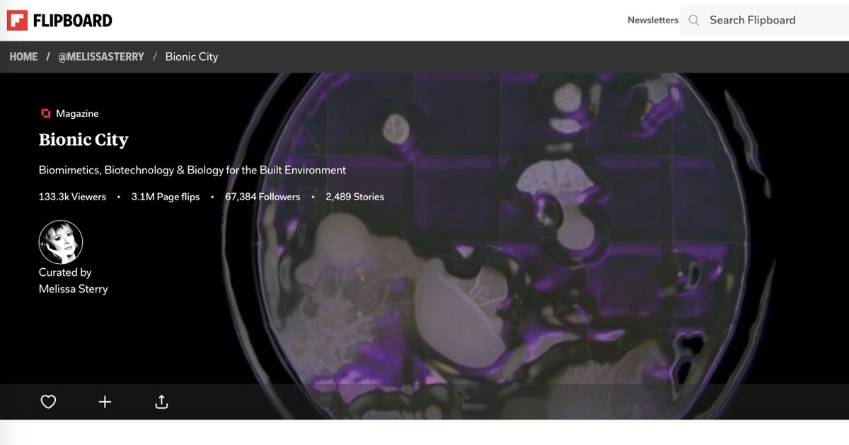 Bionic City tweet media