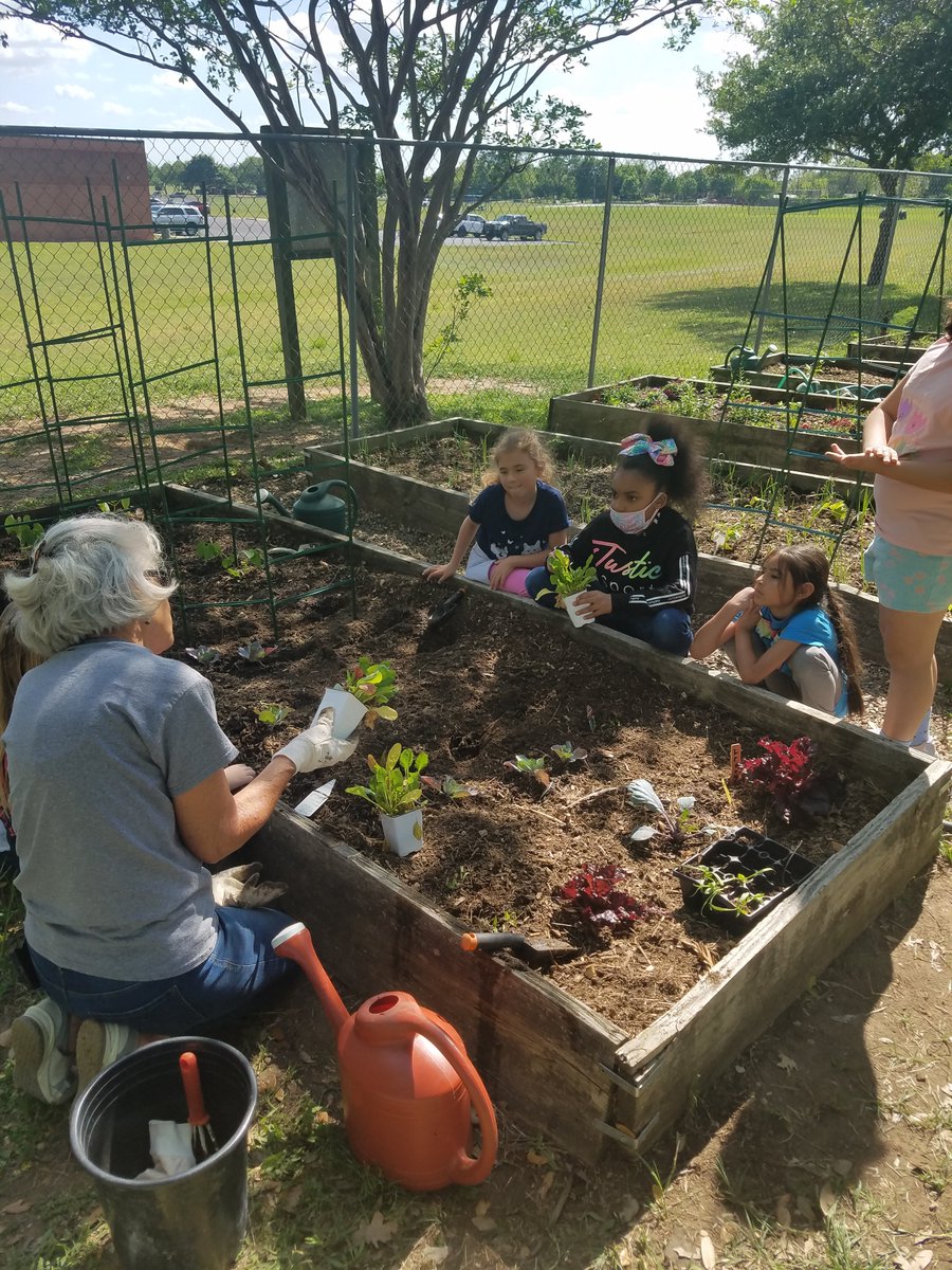 MandiMTeach's tweet photo. We had another great day with the 2nd grade Garden Club. 
A big thanks to Jerod Meurer for the hands on water quality testing of our pond &amp; Ruth Wedemeyer for guiding our students in the garden. #learningisfun #learn&amp;grow https://t.co/sqLzJEtZ16