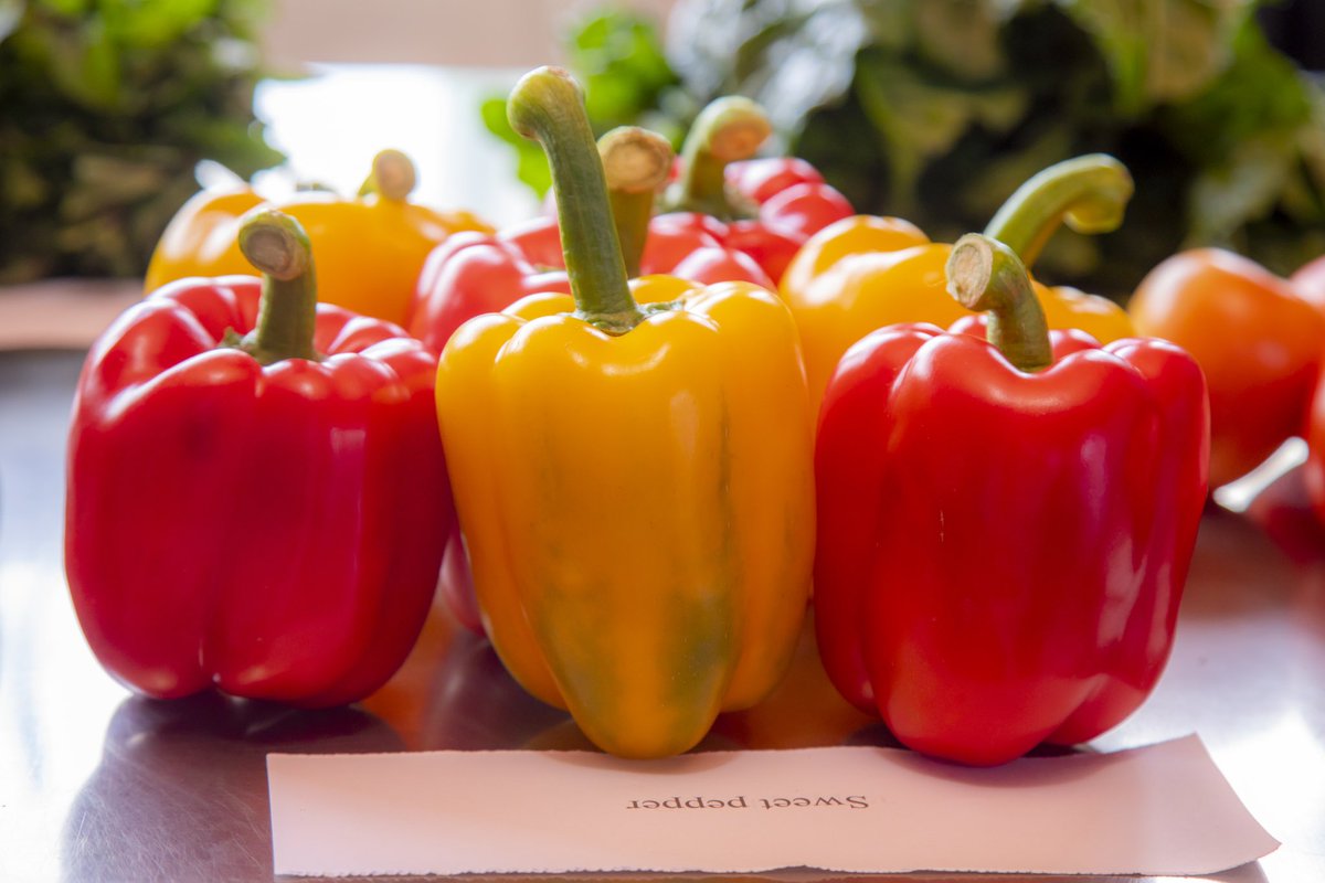 Ministry of Agriculture & Animal Resources |Rwanda tweet media