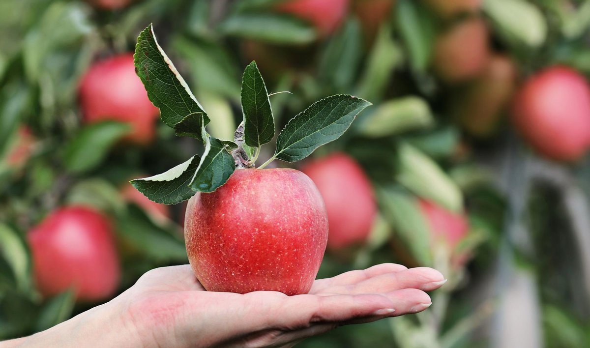 allotmentonline's tweet photo. More offers added to save some pennies 🤩
https://t.co/8GfGLXlGzX
#offers #vouchercodes #discounts https://t.co/zntJ7mPcvc