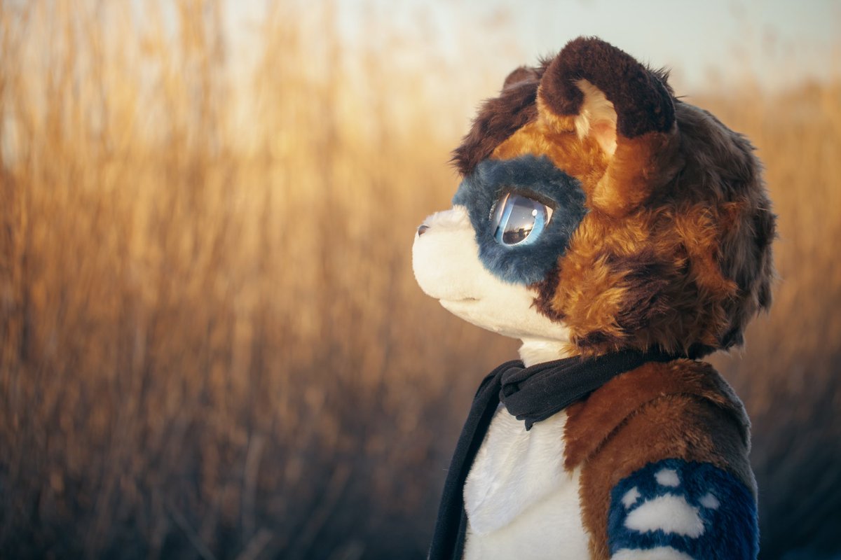 周岁快乐
希望新的一岁中
向阳而生
步履不停

Photo by <a href="/Wolf_Bul/">布鲁</a>