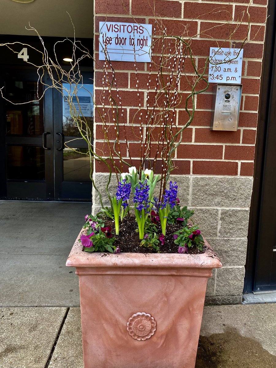 LockportHortic1's tweet photo. Horticulture students are enjoying the perfect weather, while planting Spring florals at the entryways of our school. @LockportHS205 #landscapedesign #horticulture #lthsscience #porterpride
#containergardendesign https://t.co/EtiZH9M1Xy