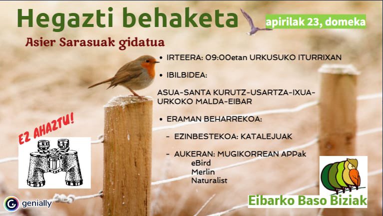 EBiziak's tweet photo. ANIMATU!!!🌳🦅🍃🦉@asarasua https://t.co/MV6FBkzi19