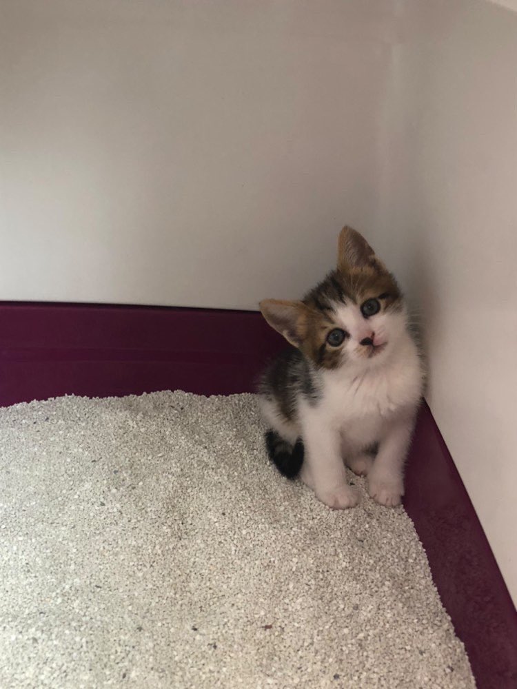 bu cocuk kumunu yatak sanıyomus 🥲