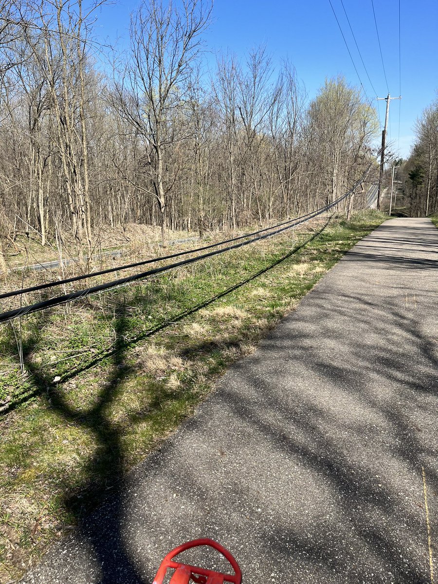 hoosierdocsams's tweet photo. @ConsumersEnergy these lines are practically on the trail near the Nature Center (just off of the tail running next to S Westnedge) in Kalamazoo.  This is super dangerous.  I thought I’d let you know I saw this on my lunch ride today. https://t.co/1cbmm3F4tG