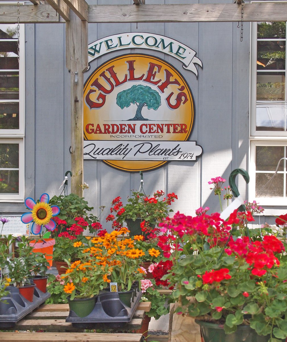 'Happy #NationalGardeningDay!'🌱🌼🌸
 
Gulley's Garden Center🌳🌼🌸
Photo By: Joseph Hill 🙂📸🌼🌸

gulleysgardencenter.com

#GulleysGardenCenter🌳🌼🌸
#plantnursery #gardencenter #garden #plants #Flowers #spring #SpringVibes #SouthernPinesNC