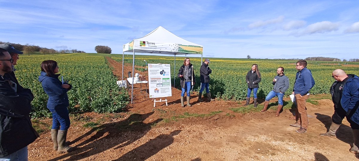 En effet belle journée pour parler alternative #phosmet avec @AuroreBaillet et <a href="/MDTI51/">Mathieu Dulot</a> de <a href="/terresinovia/">Terres Inovia</a> . De nombreuses thématiques sur notre plateforme d'essais. #ceuxquifontlesessais