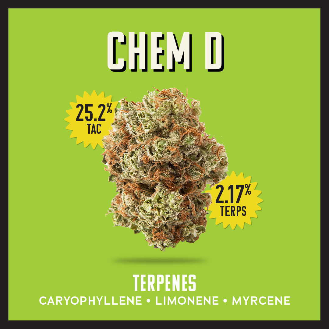 InsaFlorida's tweet photo. Experience the power of Chem D! This strain is known for its potent effects and pungent aroma. With high levels of THC, it's the perfect choice for those seeking strong and long-lasting effects. Try it today! #ChemD #cannabisstrain #potenteffects https://t.co/pbQ967X41M