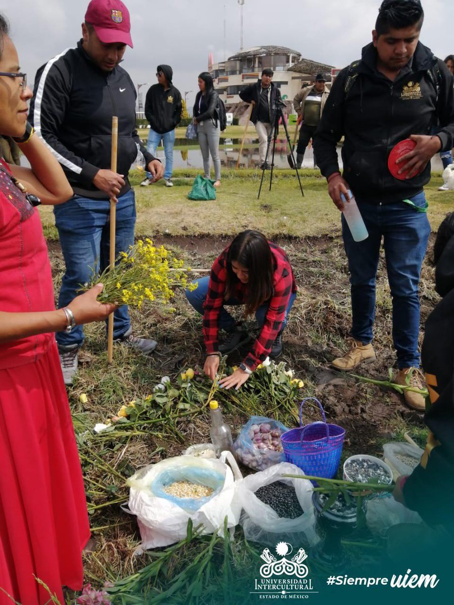 UIEMOficial's tweet photo. ✨Estudiantes de la licenciatura en #DesarrolloSustentable y de la Maestría en Gestión de la Innovación Rural Sustentable, así como profesores de la UIEM, realizaron la ceremonia tradicional y siembra de la milpa en la parcela experimental y demostrativa de la UIEM. #OrgulloUIEM https://t.co/nmJmjy6Izg