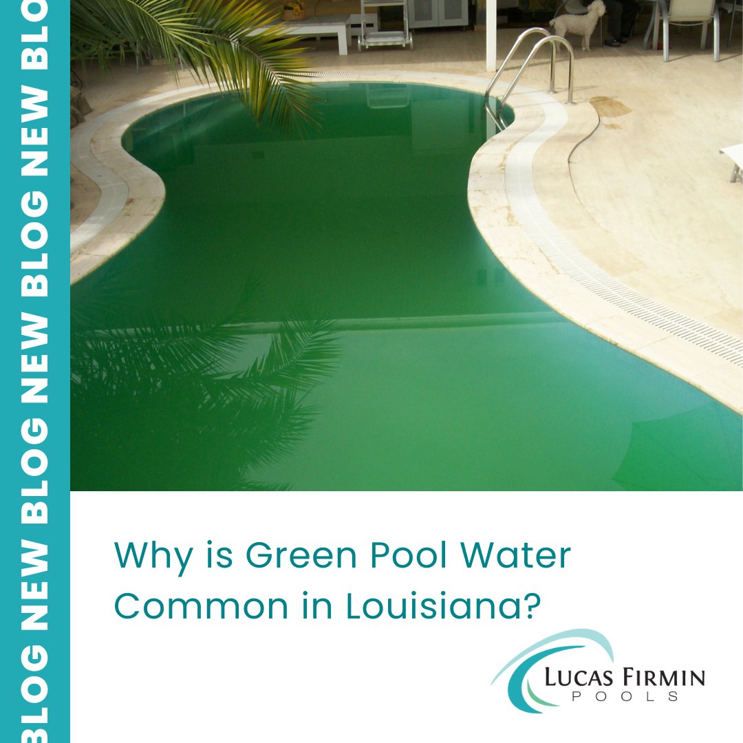 LucasFirminPool's tweet image. Does your pool have you seeing green? Green pool water isn't uncommon in Louisiana. Learn why in our latest blog. #poolmaintenance #poolchemicals #louisiana #poolbuilder #poolcontractor hubs.li/Q01LwGtg0