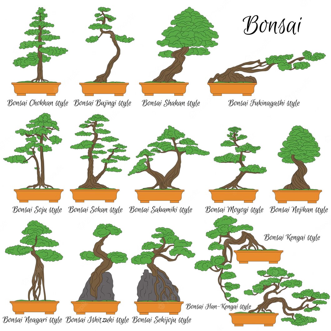 TheBonsaiProj's tweet photo. One of the first major questions an owner will have to make will be what style tree the want. There are no wrong answers! #ExpectGrowth https://t.co/mhqjp6hYxZ
