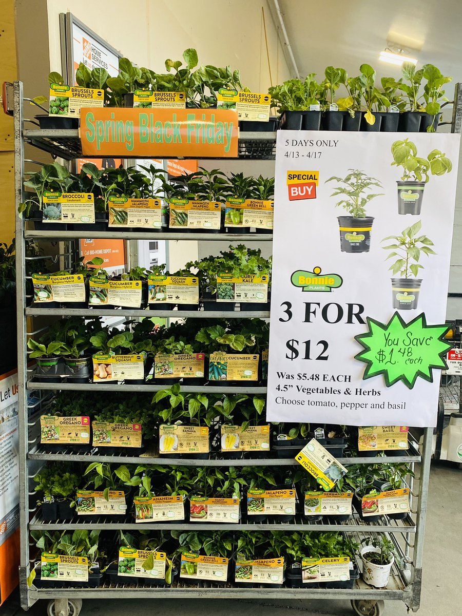 Elva_THD#0416 tweet media