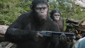 ilian852's tweet photo. @RebeuDeter L’histoire des singes a était la meilleure histoire de la soirée pour moi https://t.co/rDzo5aEBMG