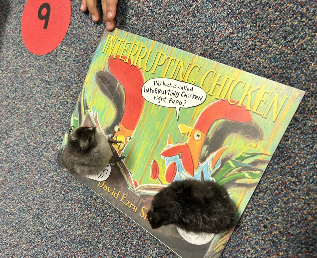 Stacey Johnson, M. Ed. tweet media