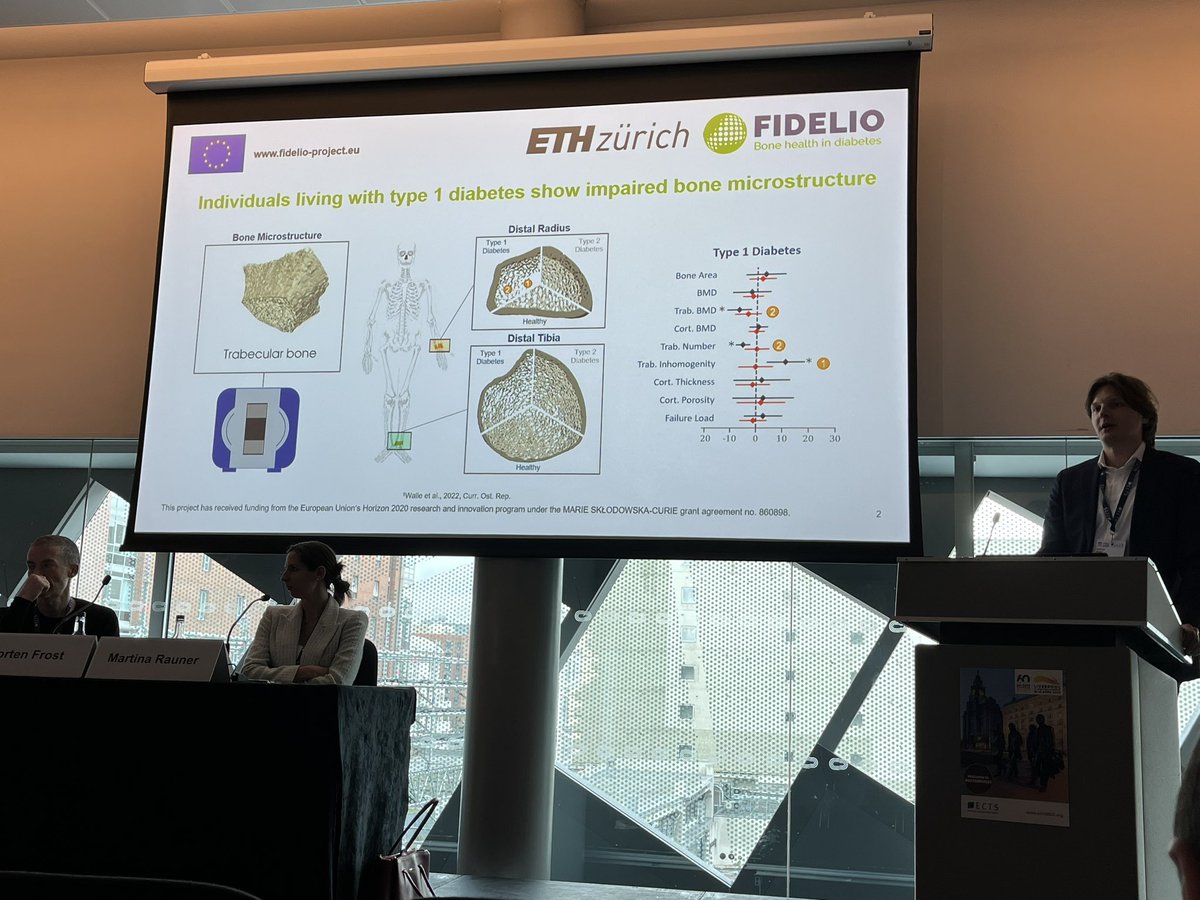 An excellent talk by <a href="/walle_matthias/">Matthias Walle</a> about impaired bone mechanoregulation in patients with T1D at the <a href="/FIDELIO_ITN/">FIDELIO-ITN</a> Open Forum! Looking forward to the many presentations and posters on diabetes and bone health to come this week #ECTS2023 <a href="/ECTS_soc/">ECTS</a>