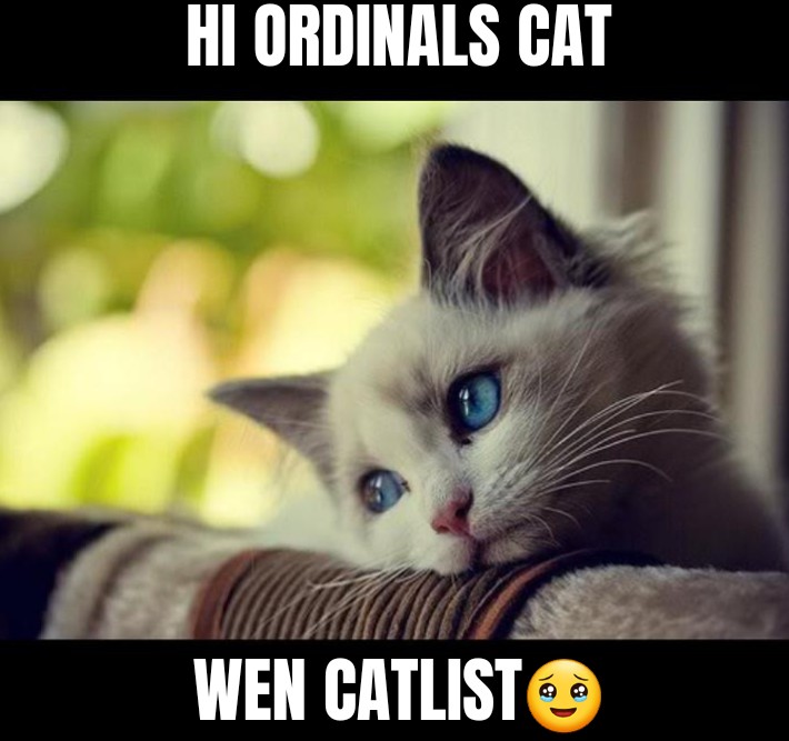 0x_evander's tweet photo. Looking forward to participating in this PJ @OrdinalsCats #Catlist https://t.co/JWUwybtcF1