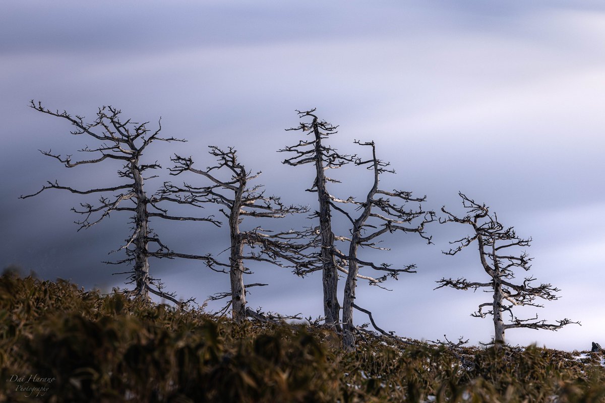 Dai_h777's tweet image. family

#tokyocameraclub  #KDN