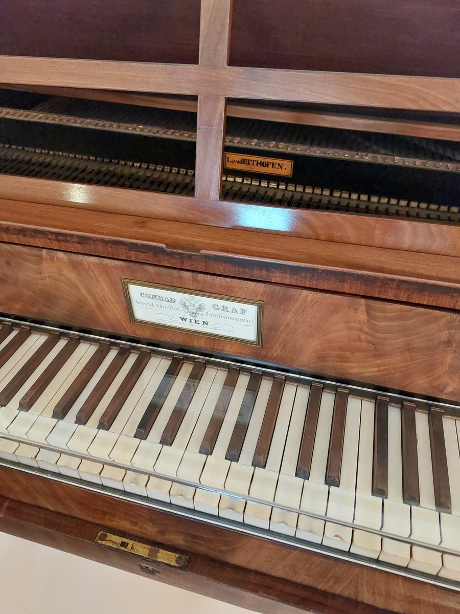 Steph Loke tweet media