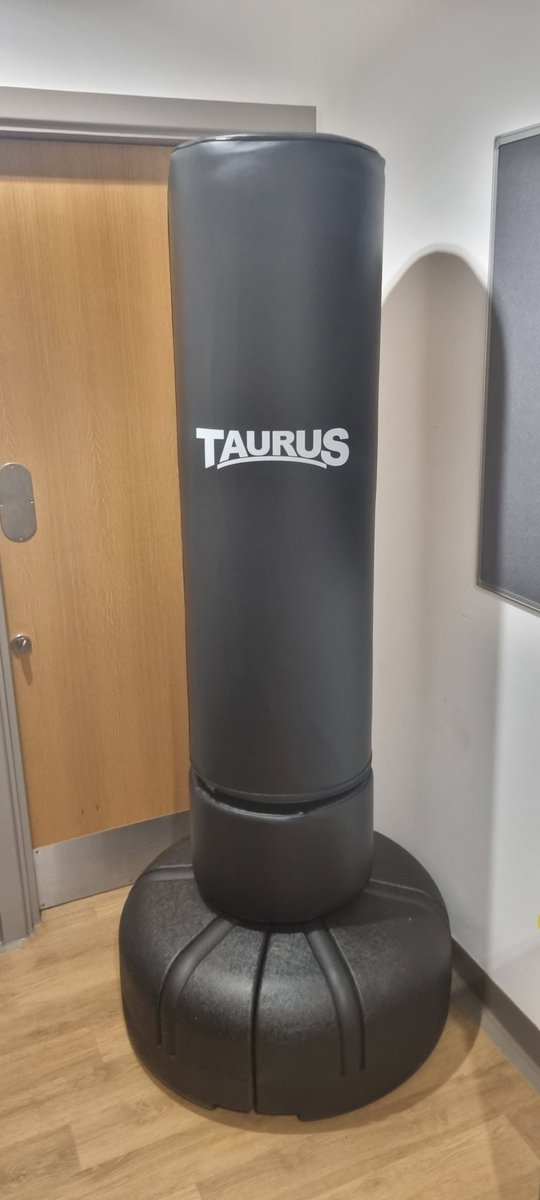 Claire78028760's tweet photo. Another how it started project for #teamprospect... today we built a punch bag as part of the "you said we did" the patient's are going to love it 😀  #therapyteam @itscaz4 @GMMH_NHS @AtherleighP https://t.co/IJulSsdYWB