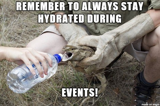 VGC Memes (@vgcmeme) on Twitter photo 