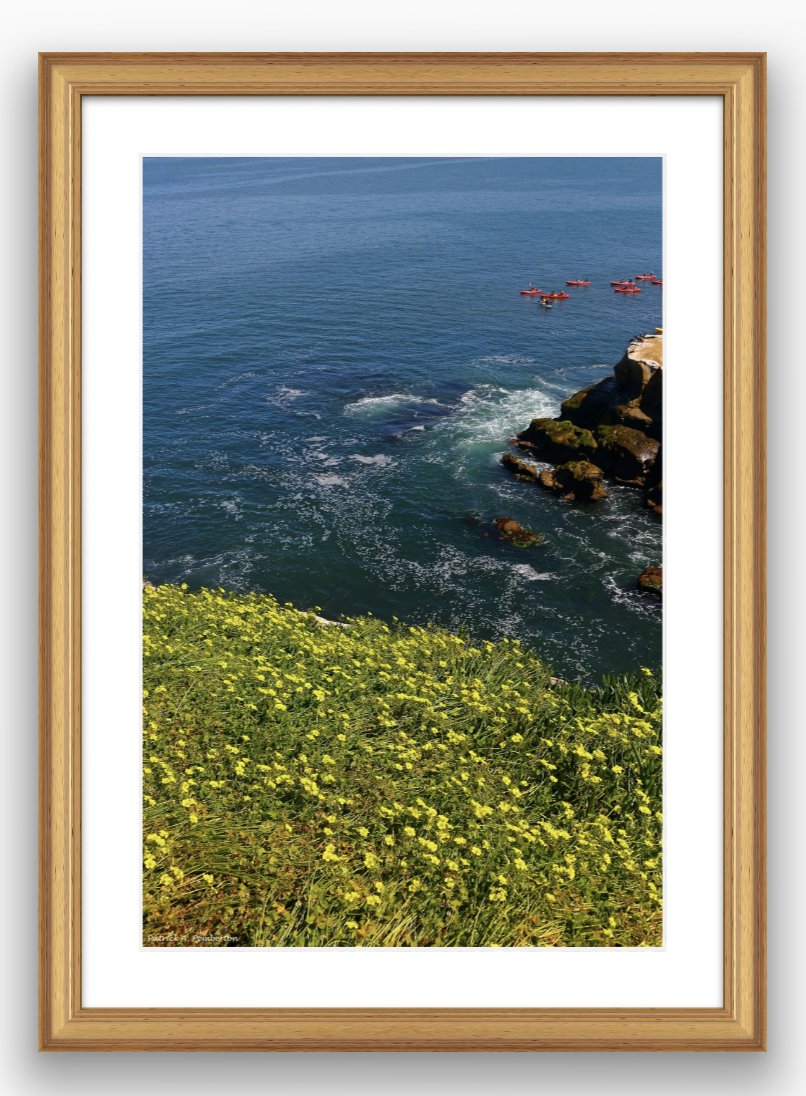 ArtByPemPhoto's tweet photo. Spring is in the air https://t.co/Kj8iDXcuxq #FridayFeeling #fridaymorning #BuyIntoArt #prints #PrintsForSale #Framed #unframed #levelpress #dotpress #RetweeetPlease https://t.co/ziOyCr9P23