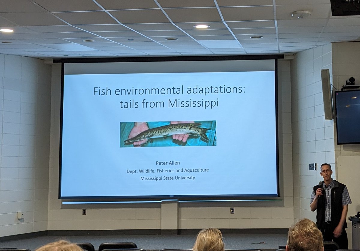 KaseaPrice's tweet photo. Our lab (@Wormy_Sturgeon) had the pleasure of hosting Dr. Peter Allen from @msstate today for the seminar series here at #GCRL. It's always nice to see Peter and his talk was great! #fisheriesecology #physiology #alligatorgar #sturgeon #tarpon https://t.co/PYEhKppRV9