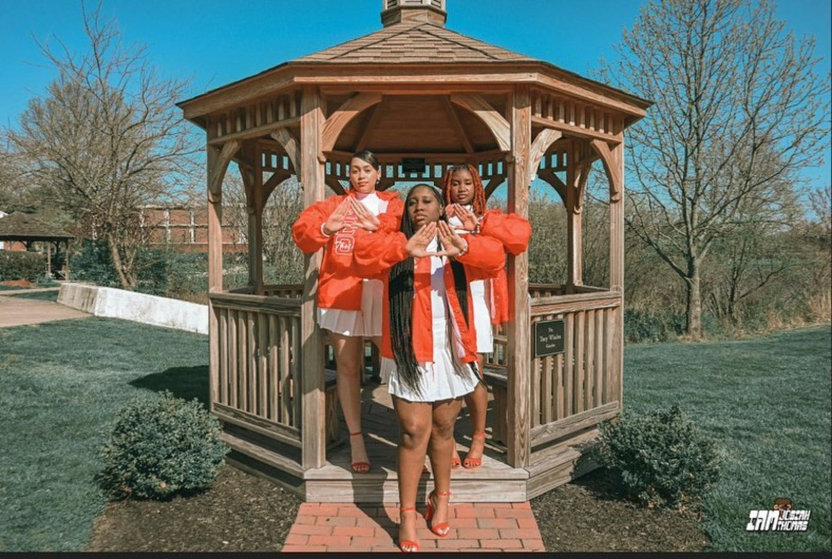 easternregdst's tweet photo. Congratulations to the Tau Kappa Chapter at Rider University #TheEastWelcomesNewMembers 
#Repost @njdeltas_tk
・・・
The Tau Kappa chapter of Delta Sigma Theta Sorority Inc. would like to formally welcome our new Spring '23 initiates into our illustrious sisterhood! https://t.co/nlmLlqYSpj