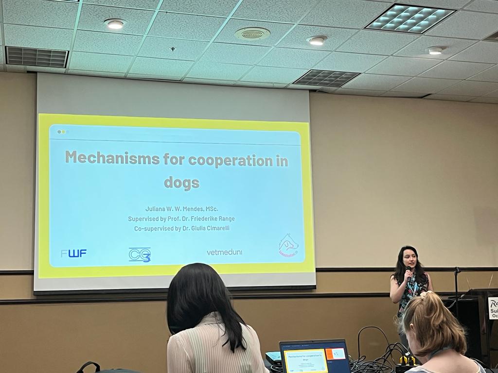 Louise Mackie tweet media