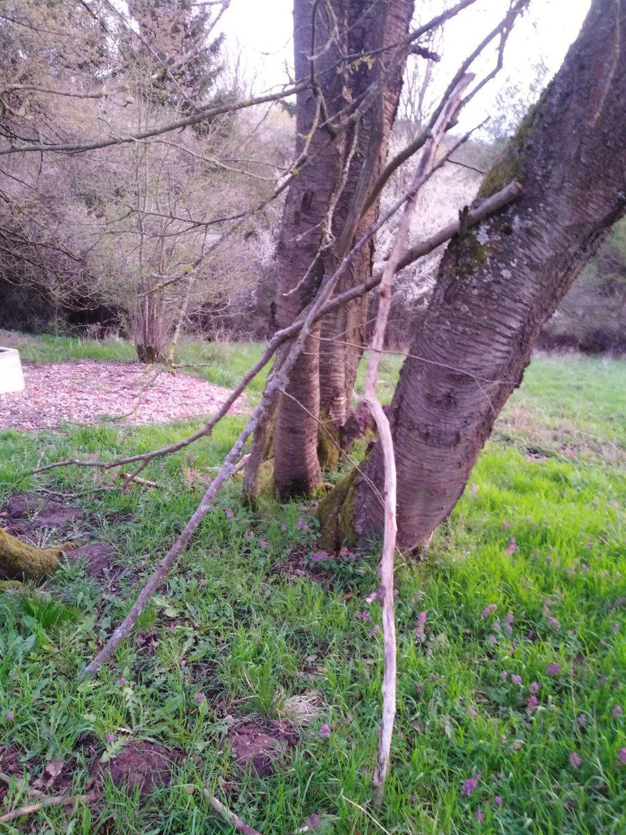 krattquaman's tweet photo. Deutsche Blair Witch https://t.co/kIt5rirQZi
