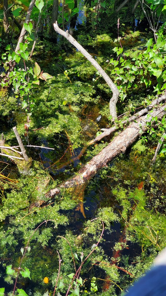 Wayne Barter tweet media