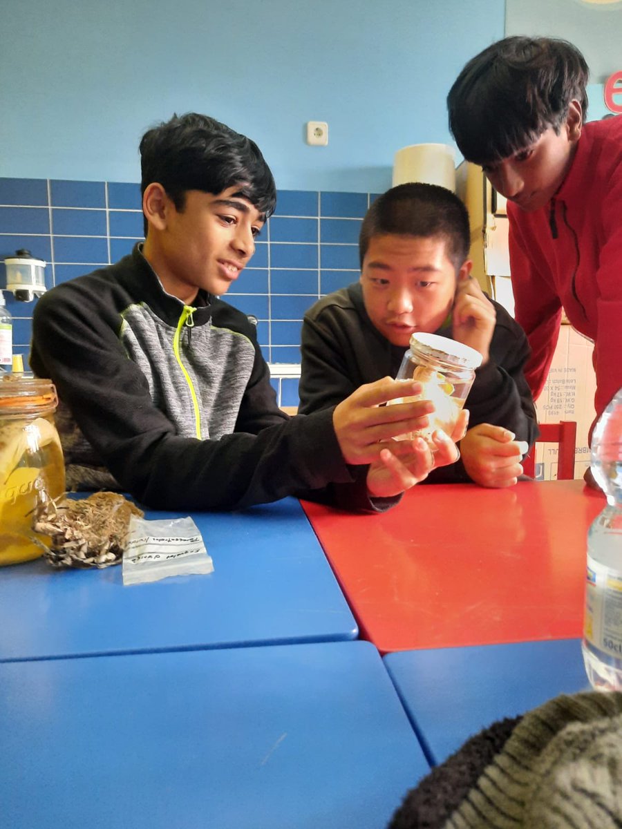 EscolaTanit's tweet photo. Els infants de 5è i 6è continuem descobrint el món submarí. Visitem l'@ecometropoli i gaudim d'un taller on aprenem curiositats sobre els invertebrats marins. També toquem mostres dels seus esquelets i fins i tot exemplars vius! https://t.co/iXVSiTPLFA